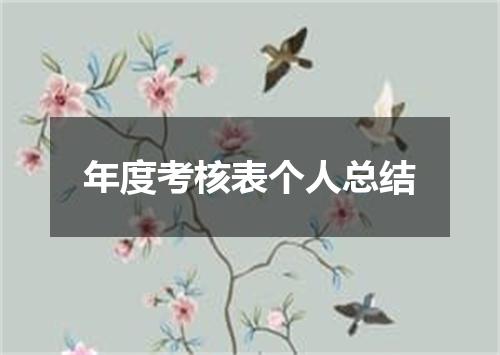 年度考核表个人总结
