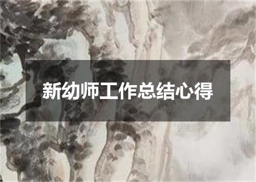 新幼师工作总结心得