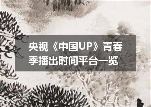 央视《中国UP》青春季播出时间平台一览