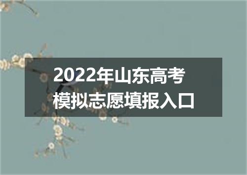 2022年山东高考模拟志愿填报入口