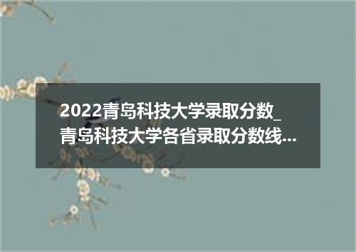 2022青岛科技大学录取分数_青岛科技大学各省录取分数线查询