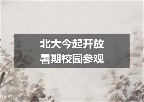 北大今起开放暑期校园参观
