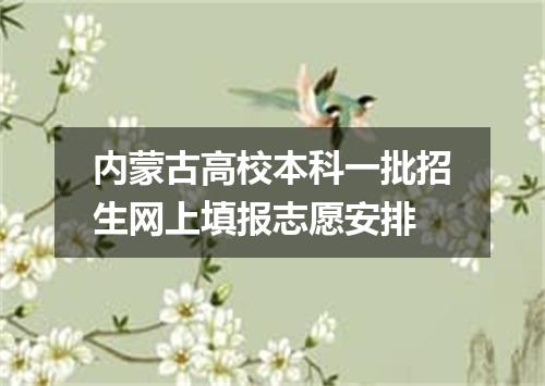 内蒙古高校本科一批招生网上填报志愿安排