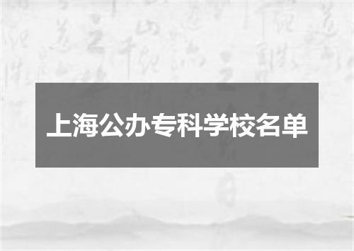 上海公办专科学校名单