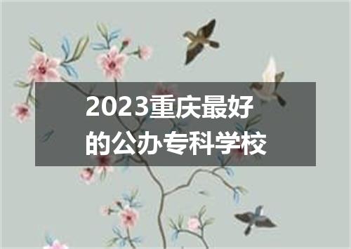 2023重庆最好的公办专科学校