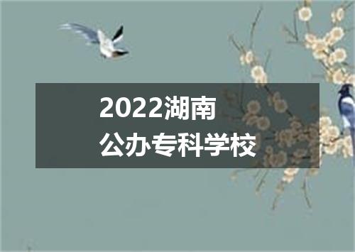 2022湖南公办专科学校