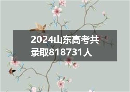 2024山东高考共录取818731人