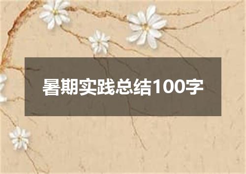 暑期实践总结100字