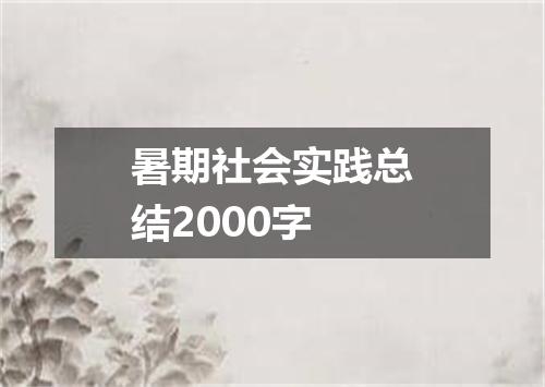 暑期社会实践总结2000字