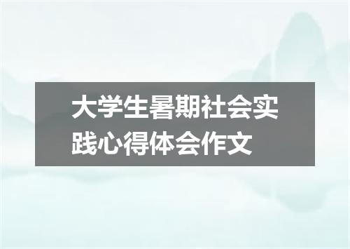大学生暑期社会实践心得体会作文