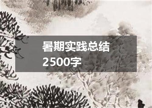 暑期实践总结2500字