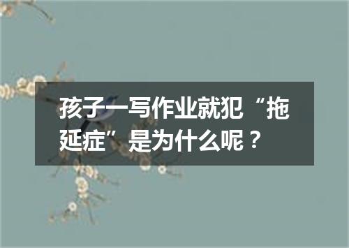 孩子一写作业就犯“拖延症”是为什么呢?