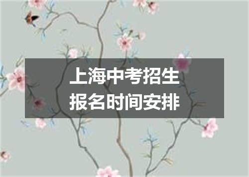上海中考招生报名时间安排