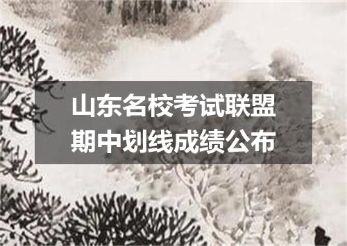 山东名校考试联盟期中划线成绩公布