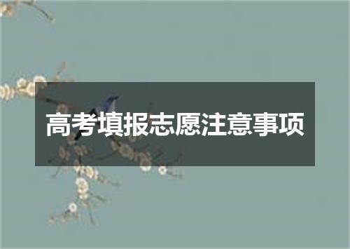 高考填报志愿注意事项