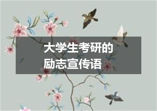 大学生考研的励志宣传语