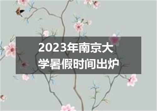 2023年南京大学暑假时间出炉