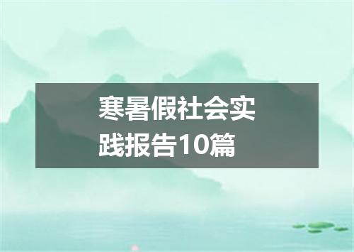 寒暑假社会实践报告10篇