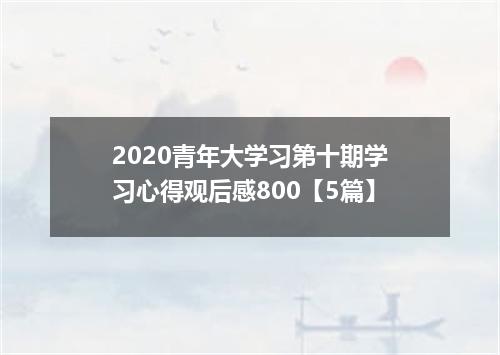2020青年大学习第十期学习心得观后感800【5篇】