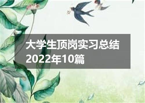 大学生顶岗实习总结2022年10篇