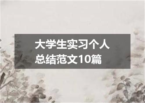 大学生实习个人总结范文10篇