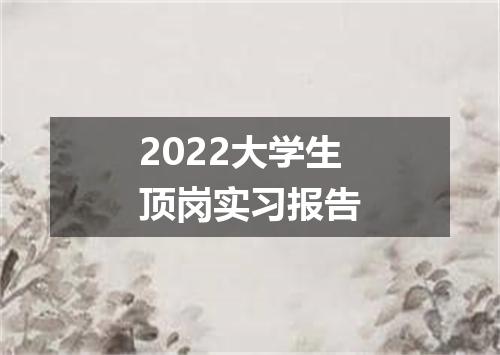 2022大学生顶岗实习报告