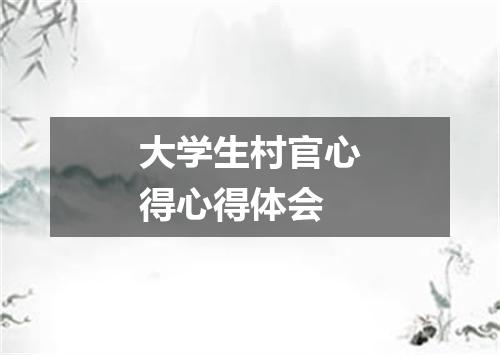 大学生村官心得心得体会
