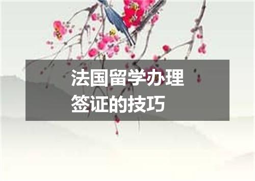 法国留学办理签证的技巧