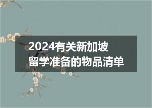 2024有关新加坡留学准备的物品清单