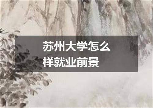 苏州大学怎么样就业前景