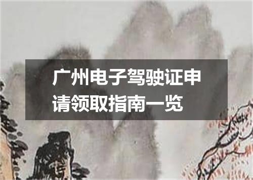 广州电子驾驶证申请领取指南一览