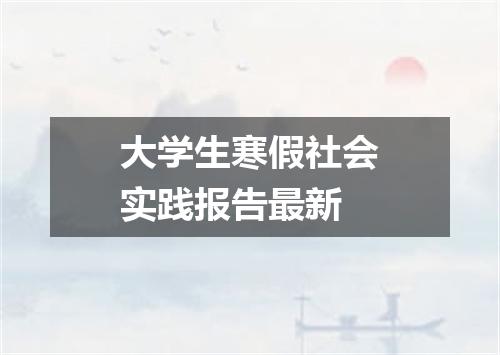 大学生寒假社会实践报告最新