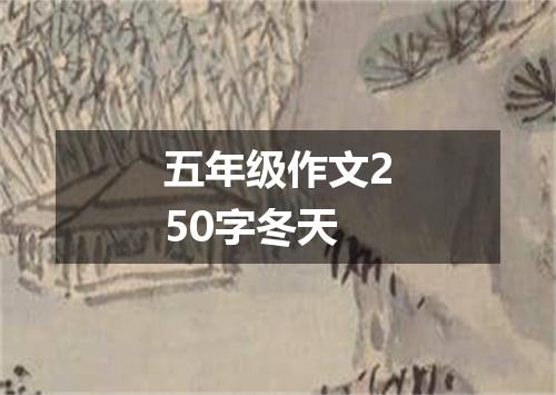 五年级作文250字冬天