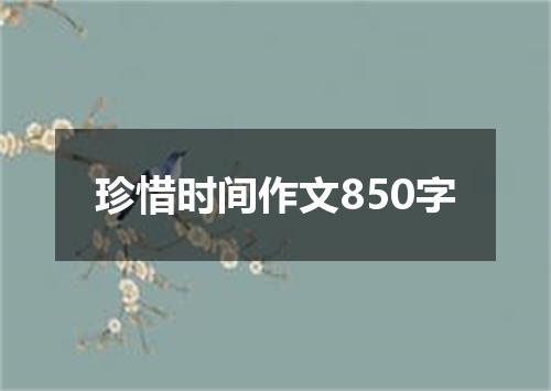 珍惜时间作文850字
