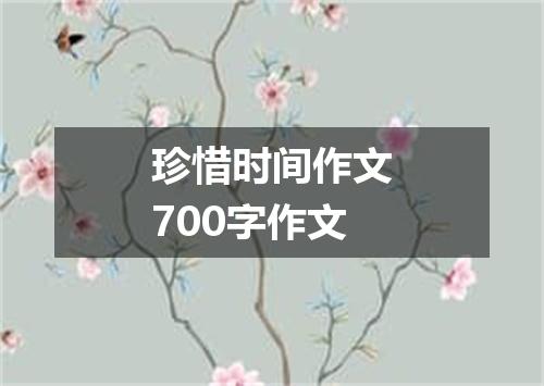 珍惜时间作文700字作文