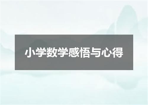 小学数学感悟与心得