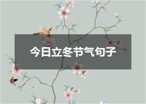 今日立冬节气句子