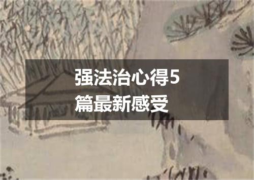 强法治心得5篇最新感受