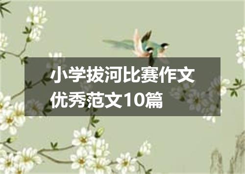 小学拔河比赛作文优秀范文10篇
