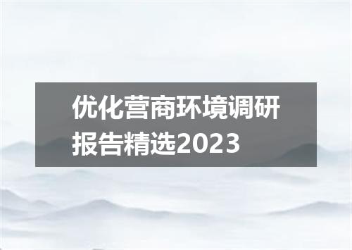 优化营商环境调研报告精选2023