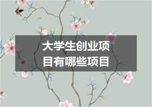 大学生创业项目有哪些项目