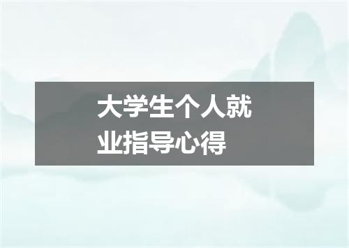 大学生个人就业指导心得