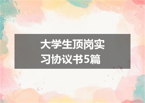 大学生顶岗实习协议书5篇