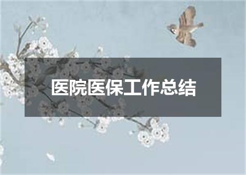 医院医保工作总结