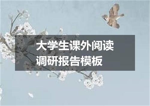 大学生课外阅读调研报告模板