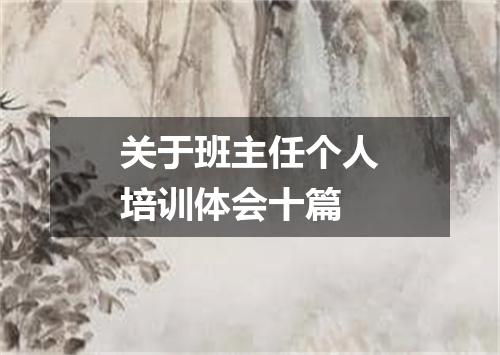 关于班主任个人培训体会十篇