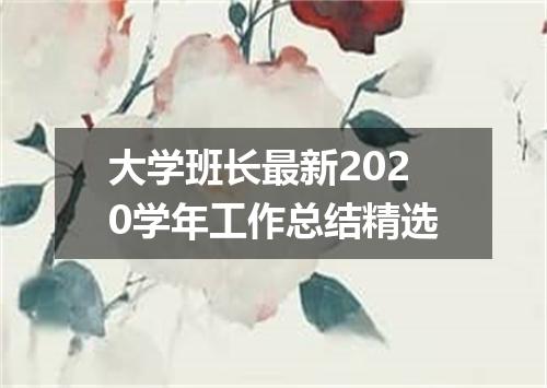 大学班长最新2020学年工作总结精选