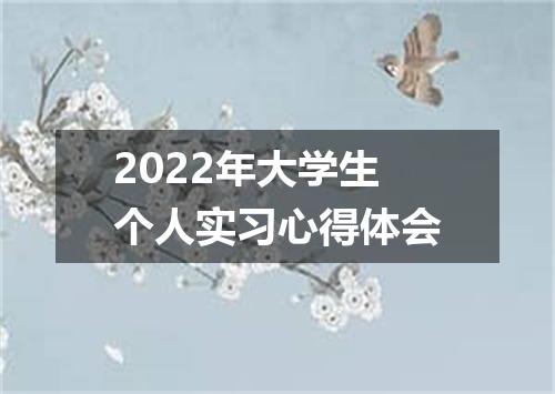 2022年大学生个人实习心得体会