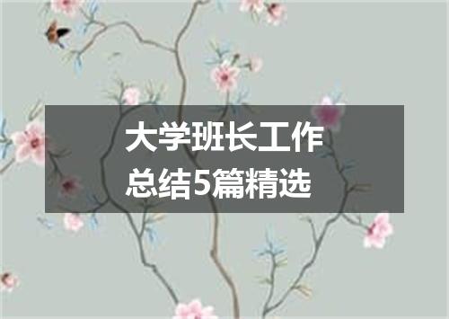 大学班长工作总结5篇精选