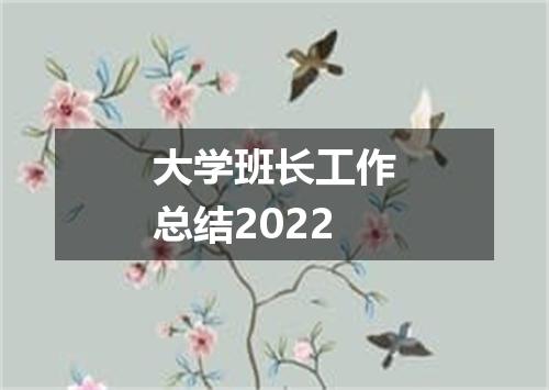 大学班长工作总结2022